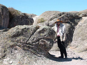 Image of Iguana figure at Markawasi
