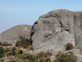 Image of lion figure at Markawasi