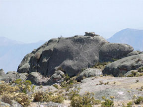 Image of Turtle figure at Markawasi